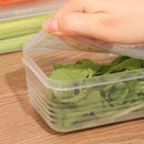 Caixa de Armazenamento Transparente com Tampa – Conserva Frutas, Legumes e Ervas na Geladeira