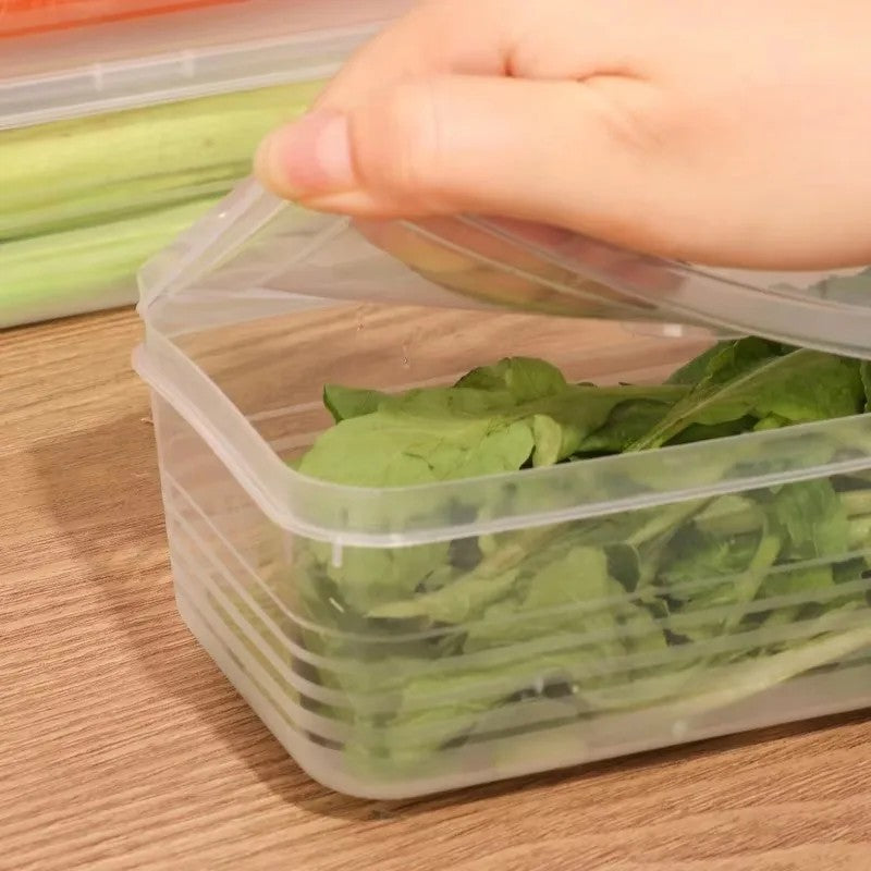 Caixa de Armazenamento Transparente com Tampa – Conserva Frutas, Legumes e Ervas na Geladeira