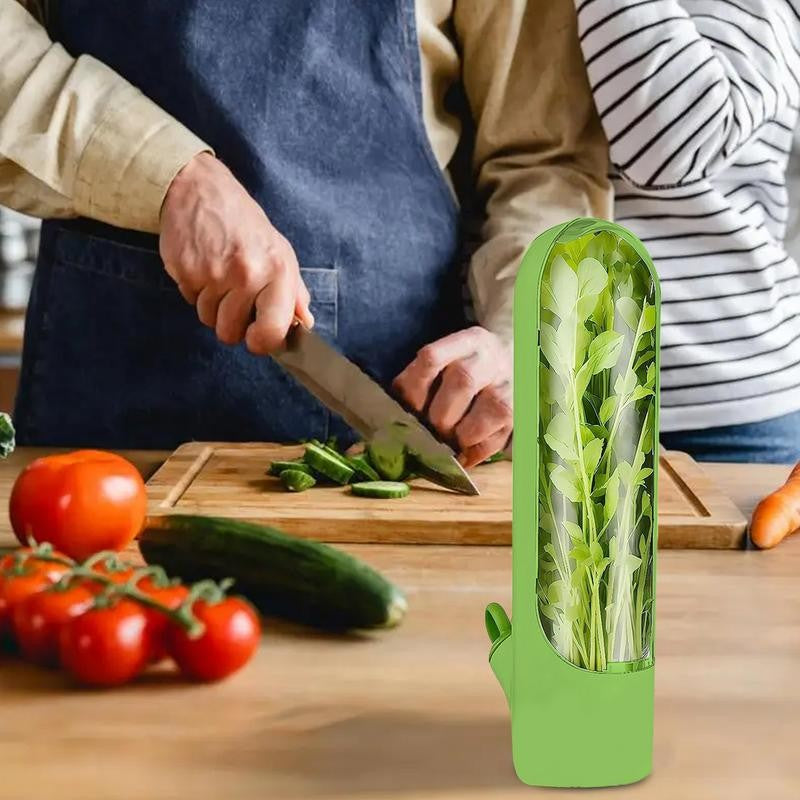 Recipiente para Armazenar Ervas Frescas – Mantém Legumes e Verduras Conservados na Geladeira