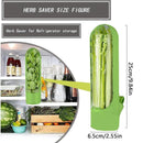 Recipiente para Armazenar Ervas Frescas – Mantém Legumes e Verduras Conservados na Geladeira