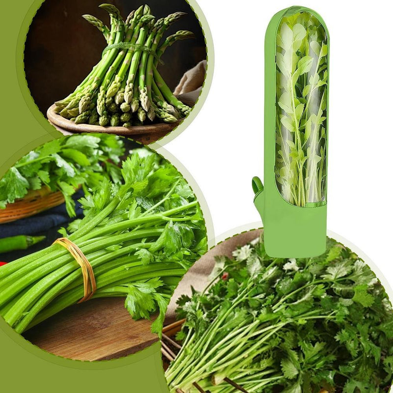 Recipiente para Armazenar Ervas Frescas – Mantém Legumes e Verduras Conservados na Geladeira