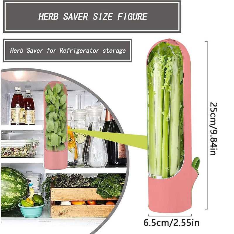 Recipiente para Armazenar Ervas Frescas – Mantém Legumes e Verduras Conservados na Geladeira