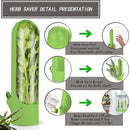 Recipiente para Armazenar Ervas Frescas – Mantém Legumes e Verduras Conservados na Geladeira