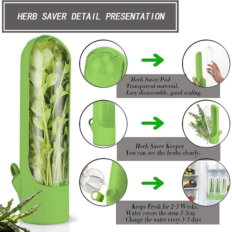 Recipiente para Armazenar Ervas Frescas – Mantém Legumes e Verduras Conservados na Geladeira